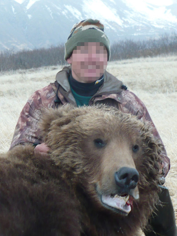 Alaszka - medve