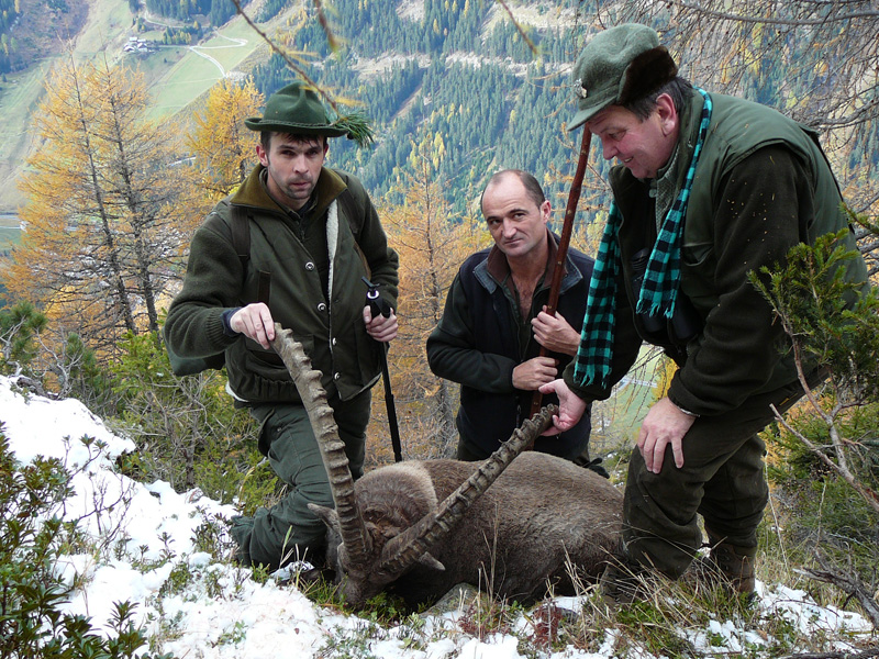 Ausztria kőszáli kecske vadászat