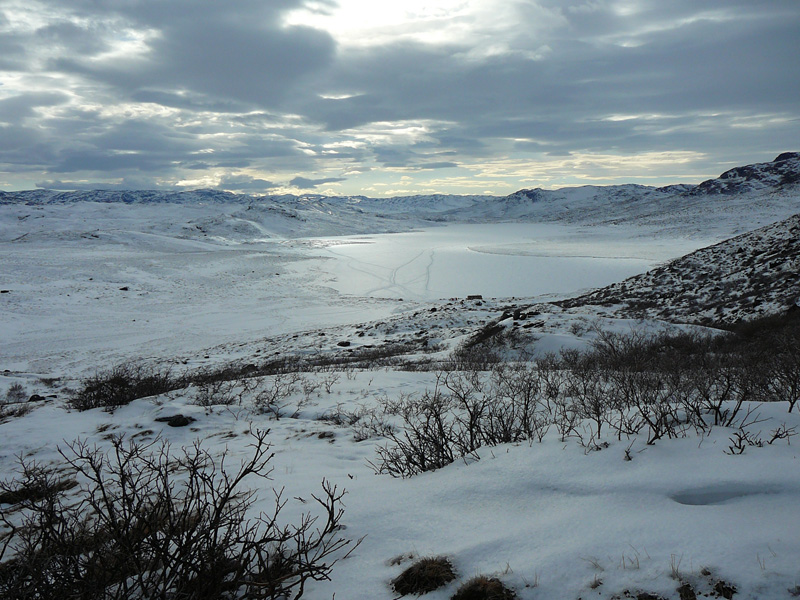 Grönland - terület