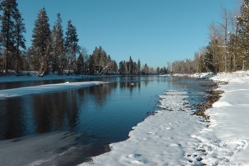 Kanada, BC, puma vadászat