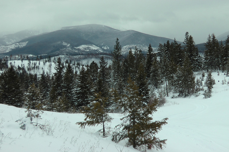 Kanada, BC, puma vadászat