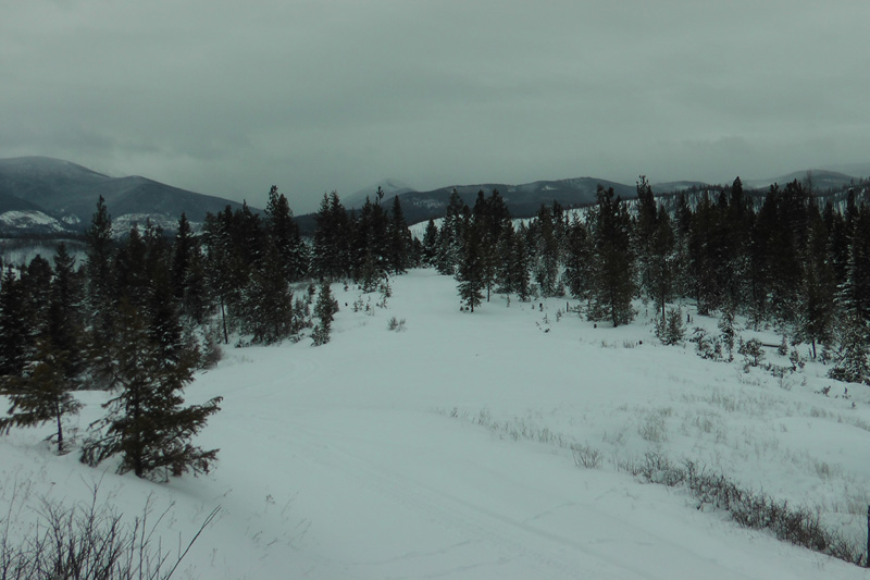 Kanada, BC, puma vadászat