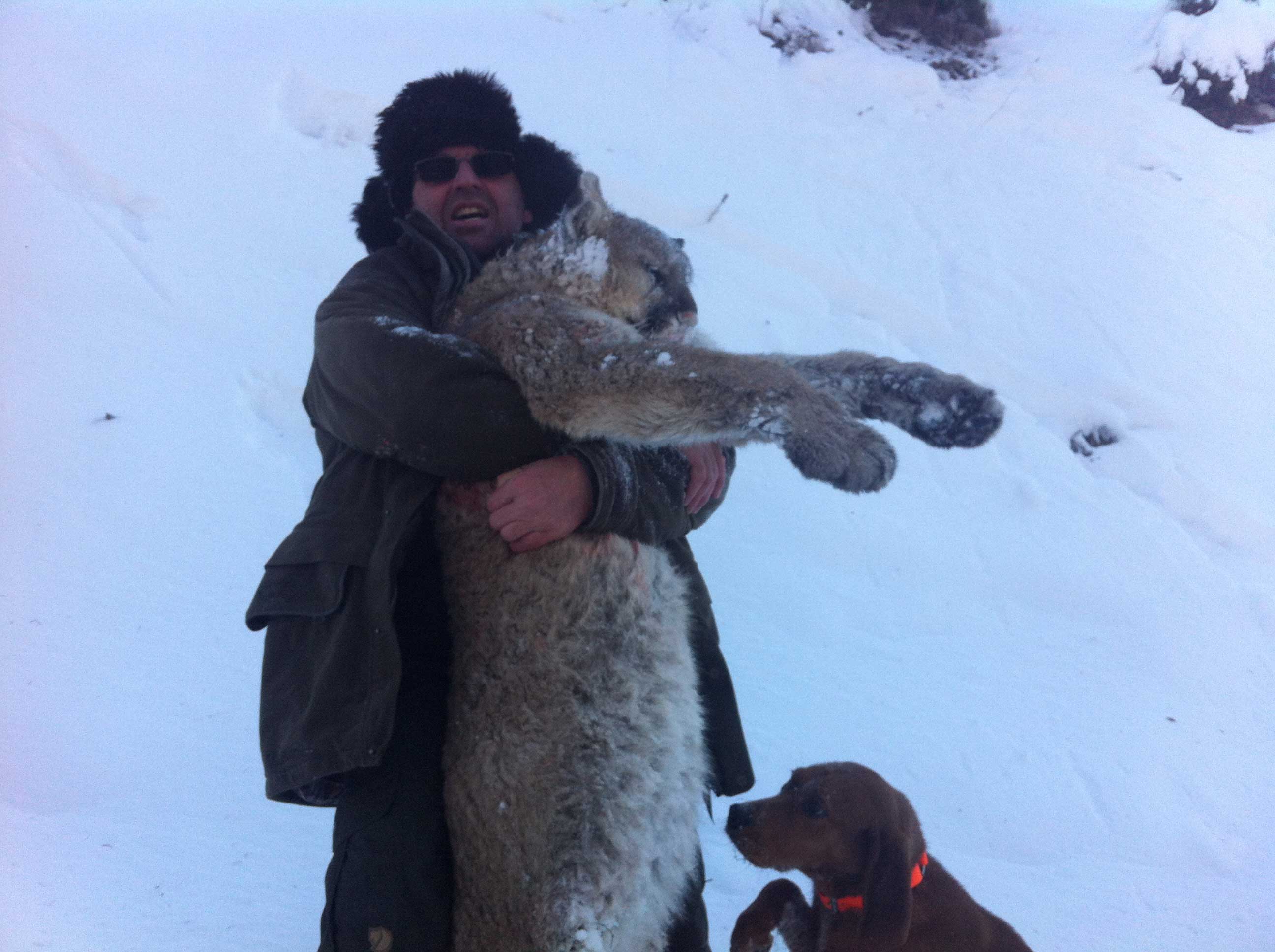 Kanada, BC, puma vadászat