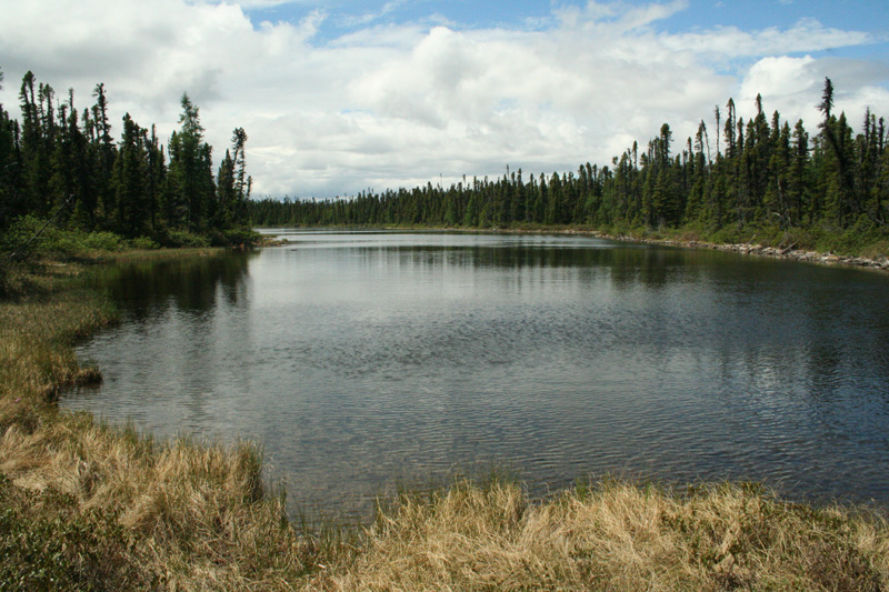 Vadászutak