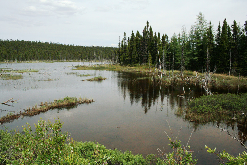 Vadászutak