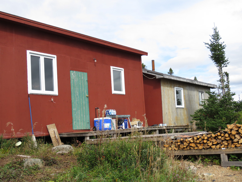 Kanada, Új-Fundland, jávorszarvas vadászat