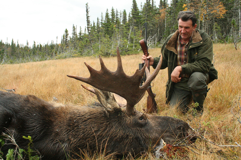 Kanada, Új-Fundland, jávorszarvas vadászat