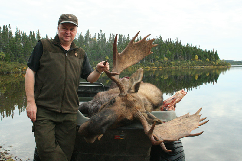 Kanada, Új-Fundland, jávorszarvas vadászat