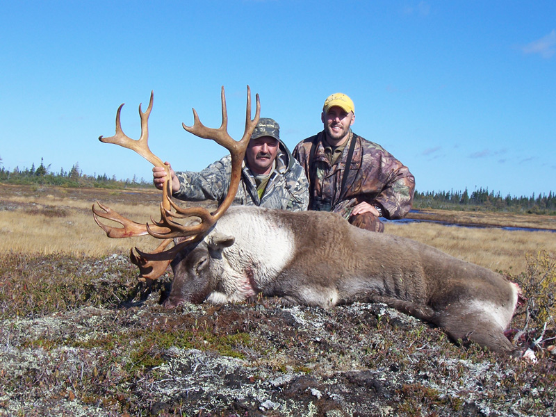 Kanada, Új-Fundland, karibu vadászat