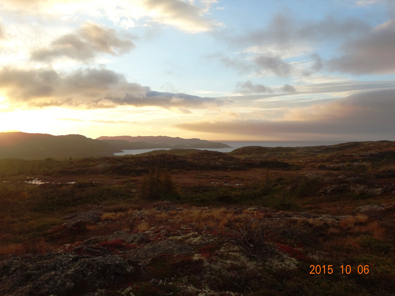 Kanada, Új-fundland, jávorszarvas, karibu, vadászat