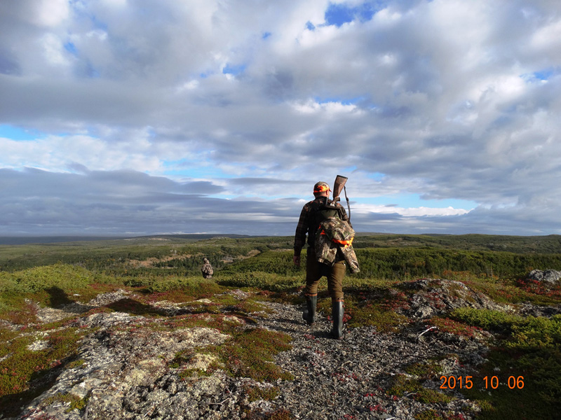 Kanada, Új-fundland, jávorszarvas, karibu, vadászat