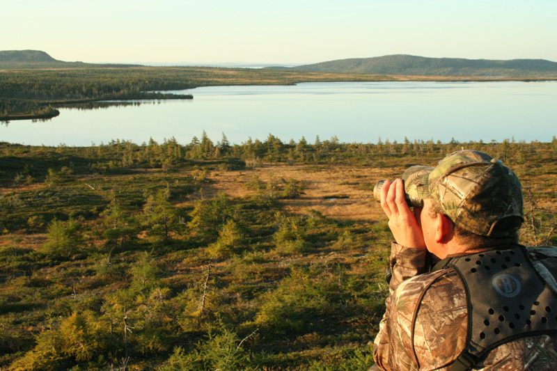 Kanada, Új-fundland, jávorszarvas, karibu, vadászat