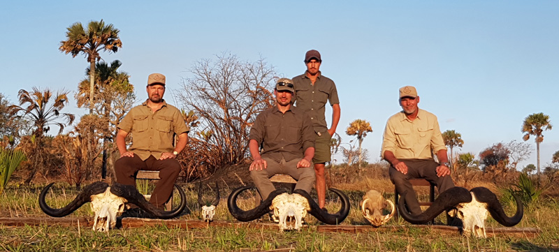 Mozambik kafferbivaly