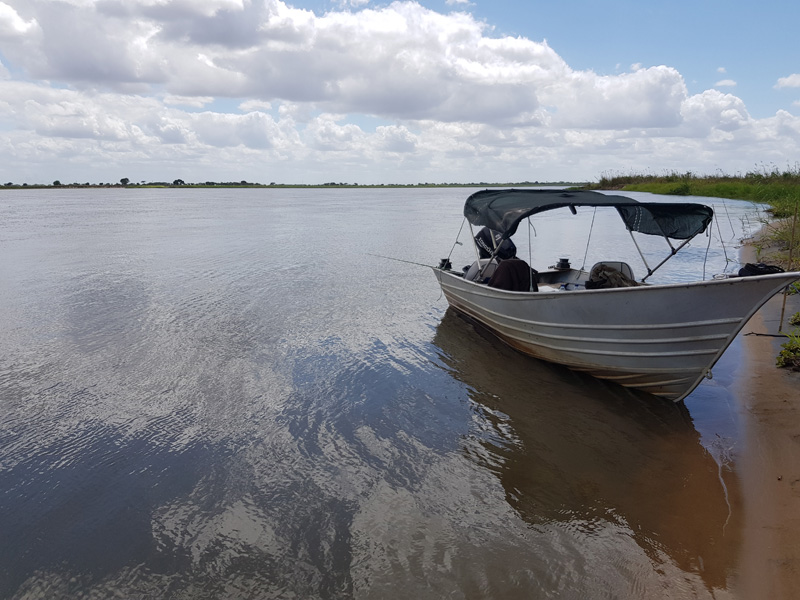 Mozambik kafferbivaly és antilop vadászat
