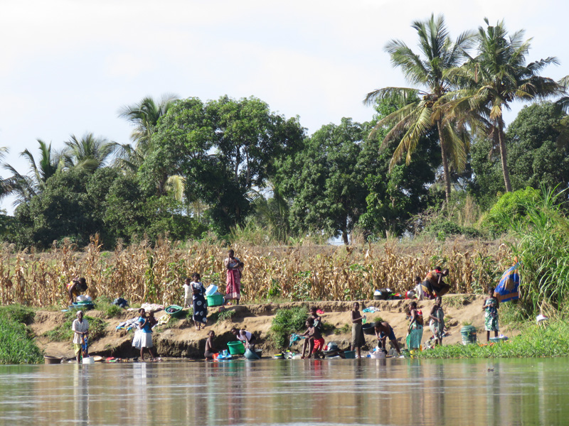 Mozambik kafferbivaly és antilop vadászat