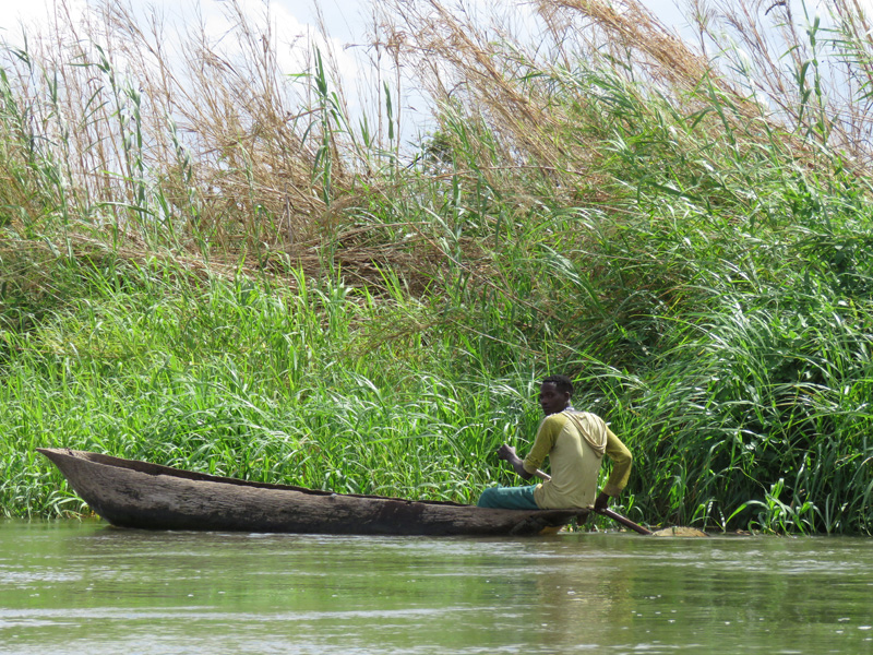 Mozambik kafferbivaly és antilop vadászat