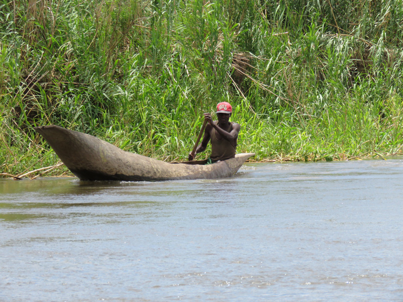 Mozambik kafferbivaly és antilop vadászat
