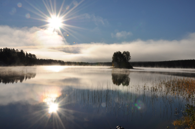 Svédország vadászat