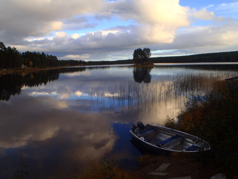 Svédország vadászat