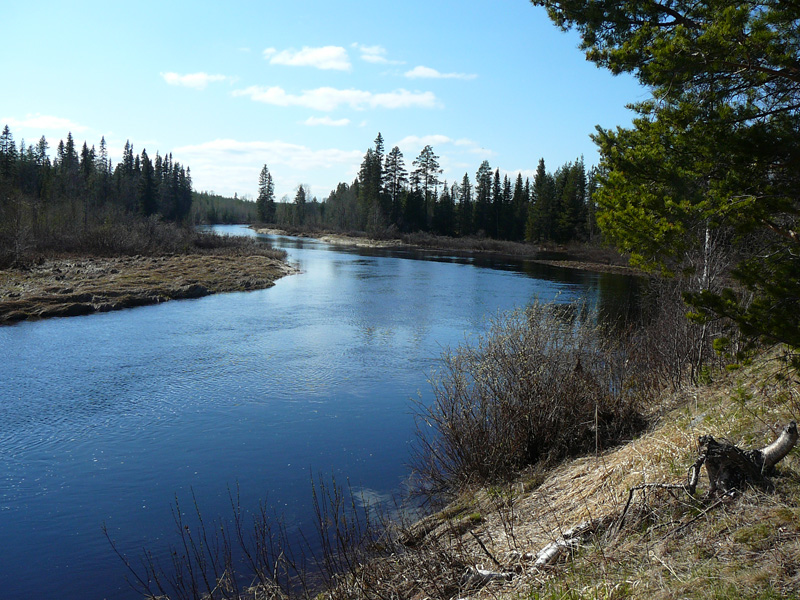 Svédország vadászat