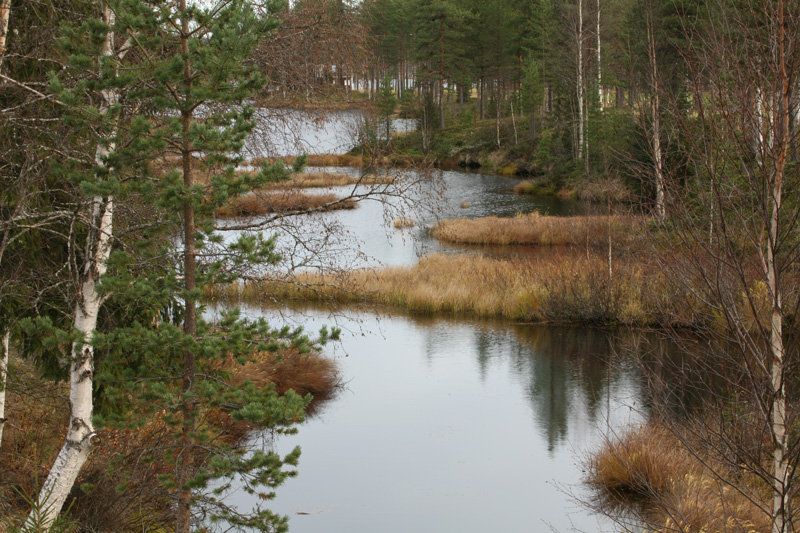 Svédország vadászat