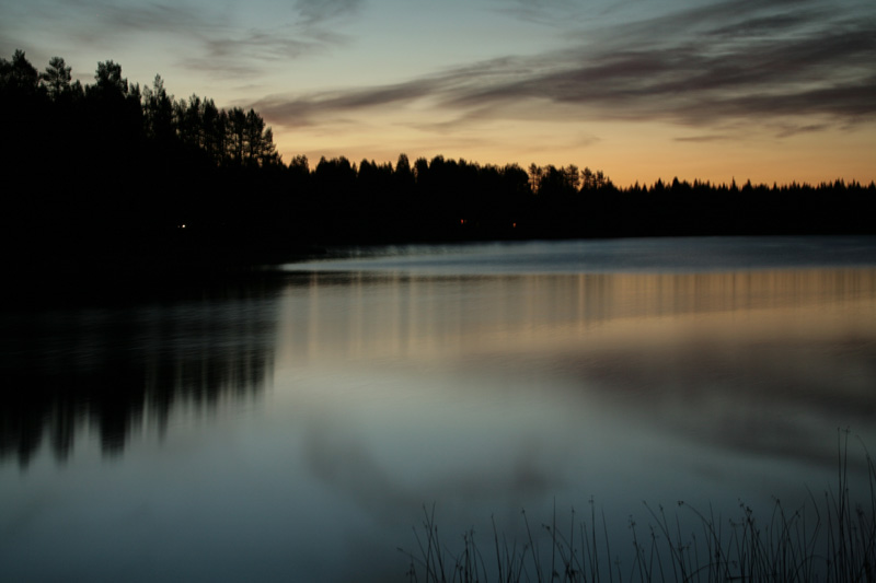 Svédország vadászat