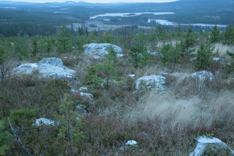Vadászutak