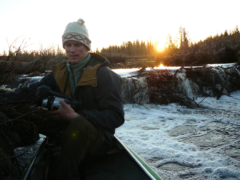 Svédország, hódvadászat