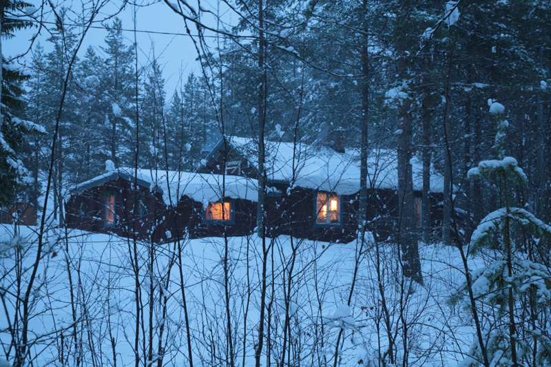 Svédország vadászat