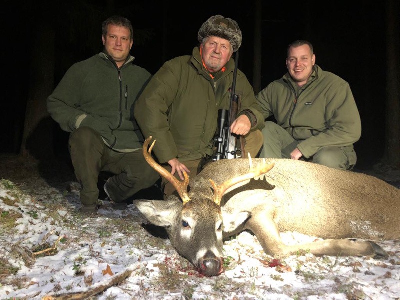 Fehérfarkú szarvas - Finnország