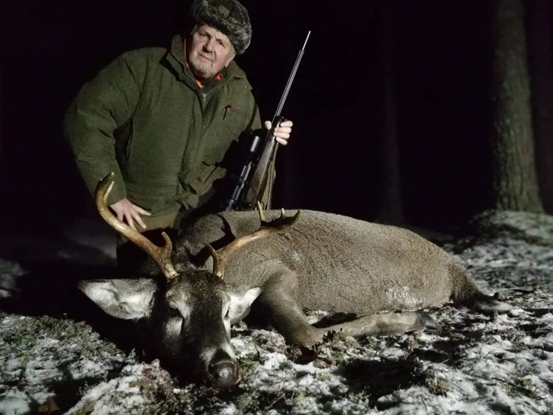 Fehérfarkú szarvas - Finnország