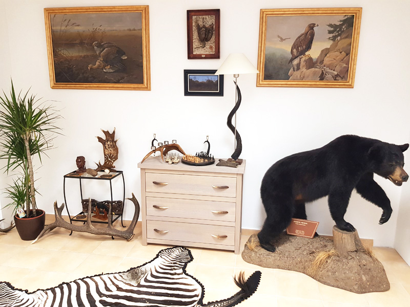 Vadászutak Kft. art&nature