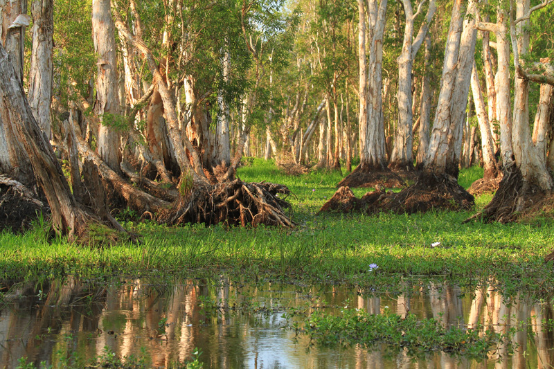 Ausztrália vadászat