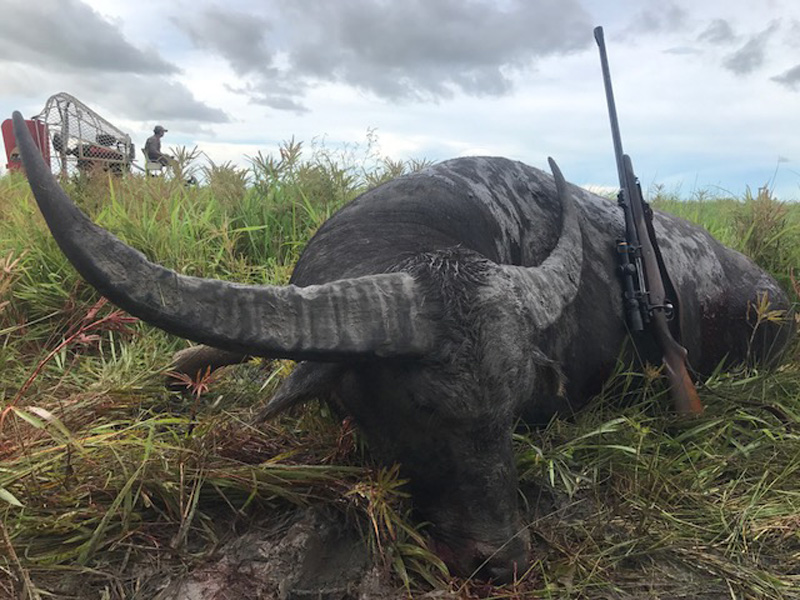 Ausztrália vadászat