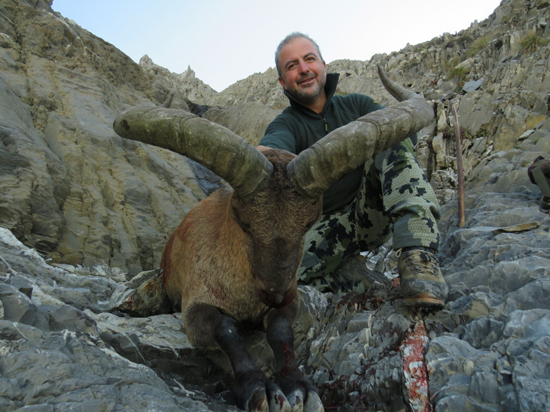 Azerbajdzsán dagesztáni túr vadászat