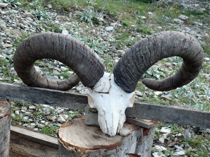 Vadászutak