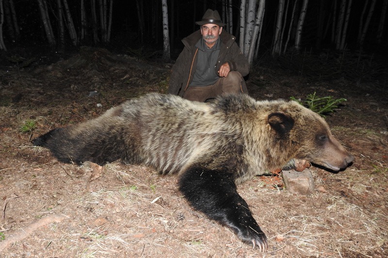 Oroszország, barnamedve, Burjátföld