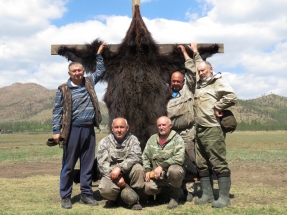 Oroszország, barnamedve, Burjátföld
