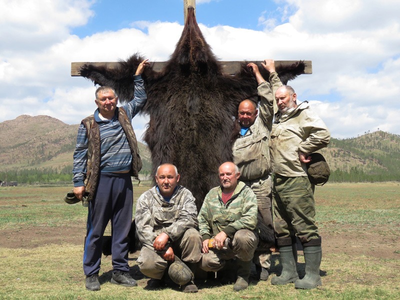 Oroszország, barnamedve, Burjátföld