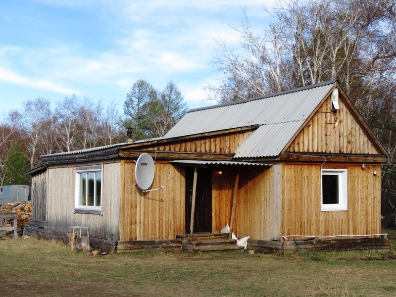 Oroszország, barnamedve, Burjátföld