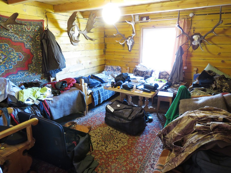 Oroszország, barnamedve, Burjátföld