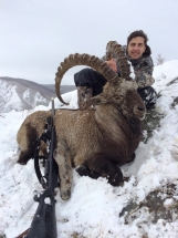 Hakaszföld, Oroszország, Altaj kőszáli kecske vadászat