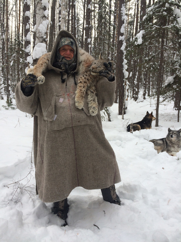 Oroszország, Irkutszk, Hiúz