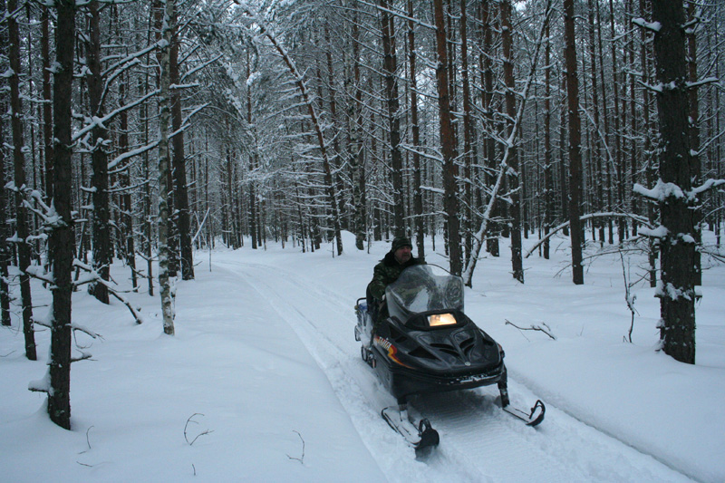 Oroszország, Irkutszk, Hiúz