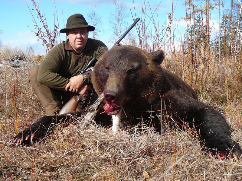 Oroszország, Kamcsatka, barnamedve