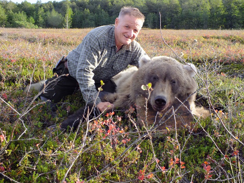 Oroszország, Kamcsatka, barnamedve