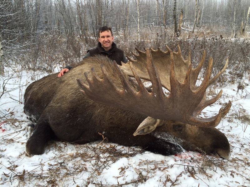 Oroszország, Kamcsatka, Jávorszarvas