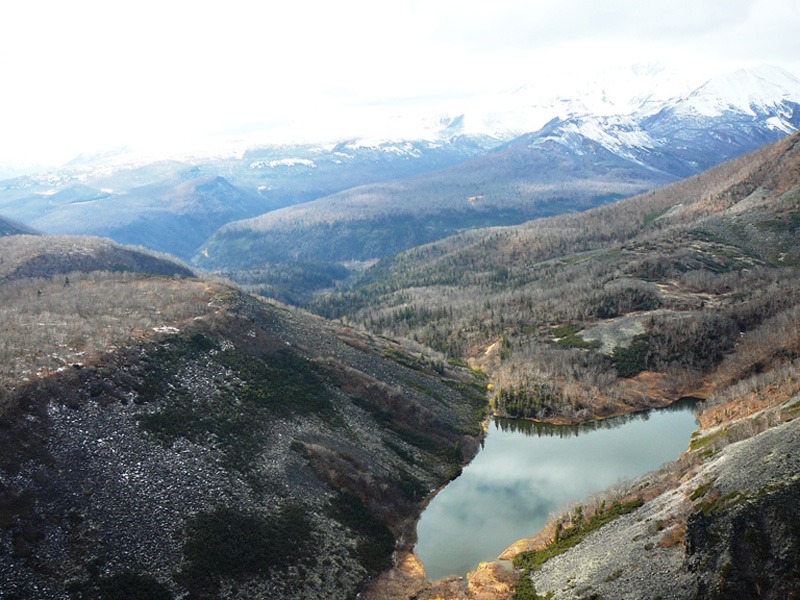 Oroszország, Kamcsatka, Jávorszarvas