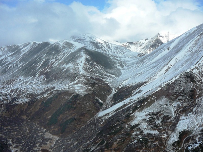 Oroszország, Kamcsatka, Jávorszarvas