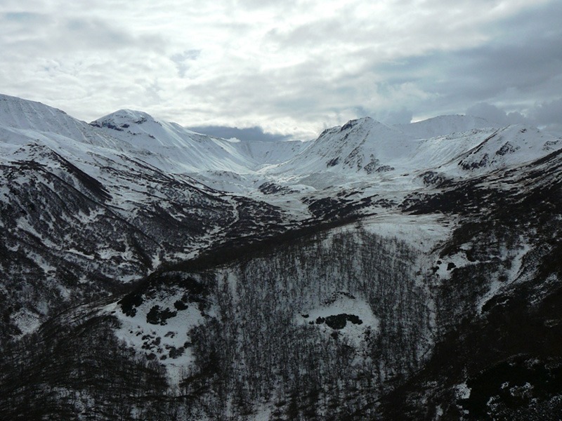 Oroszország, Kamcsatka, Jávorszarvas